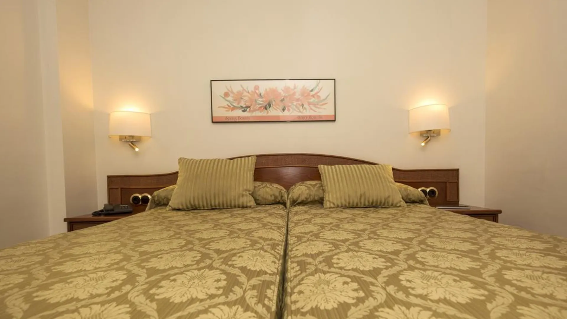 Hotel Cervol Andorra la Vella