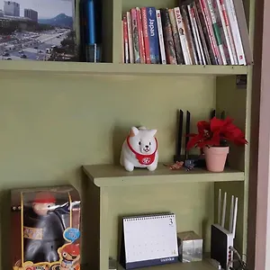 Birdsnest Hongdae Foreigner Only Hostel Seoul