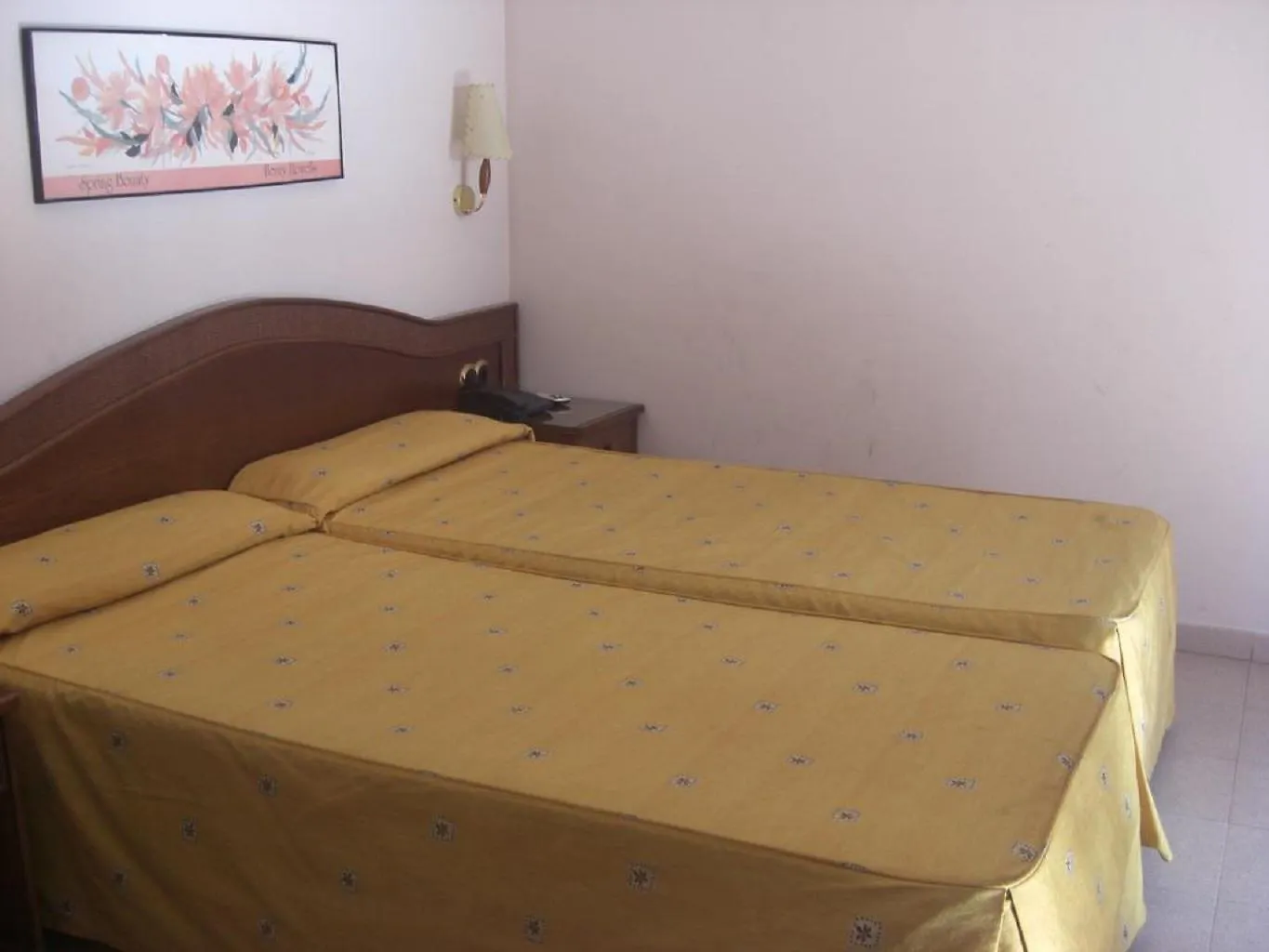 Hotel Cervol Andorra la Vella 3*,